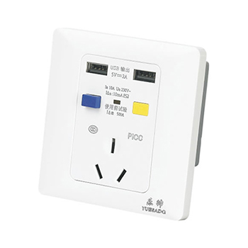 YS-50L-2 10A带USB插座